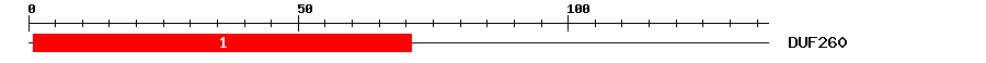 Signature Domain
