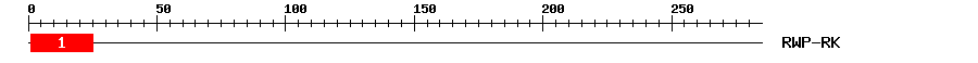 Signature Domain