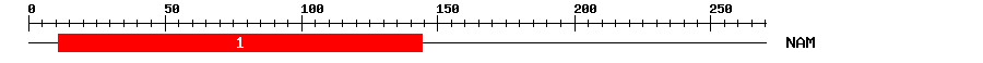 Signature Domain