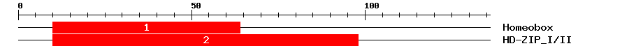Signature Domain