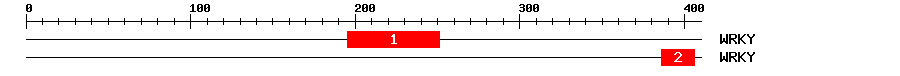 Signature Domain