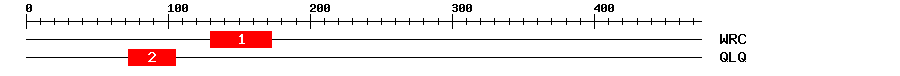 Signature Domain