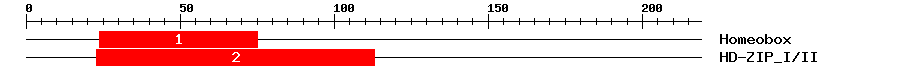 Signature Domain