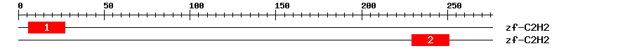 Signature Domain