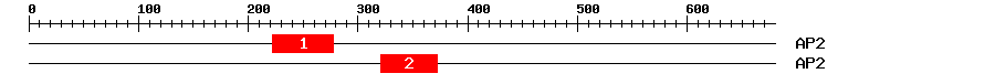 Signature Domain
