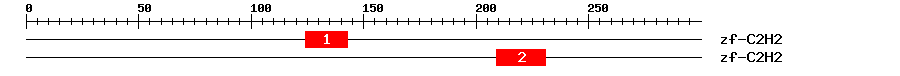 Signature Domain