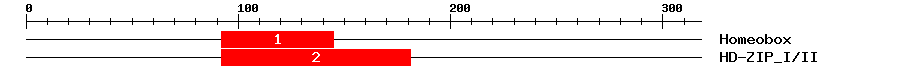 Signature Domain