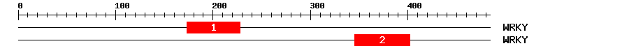 Signature Domain