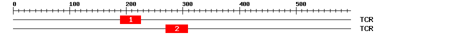 Signature Domain