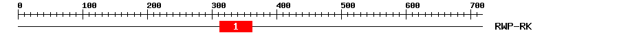 Signature Domain