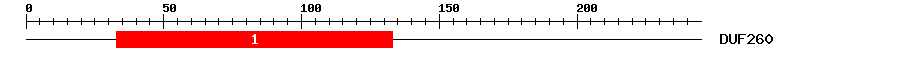 Signature Domain