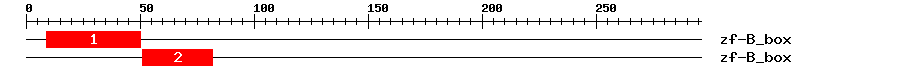Signature Domain