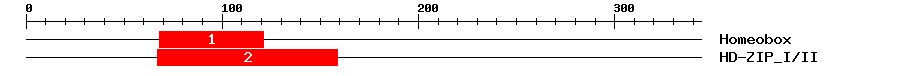 Signature Domain