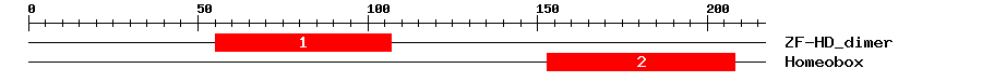 Signature Domain
