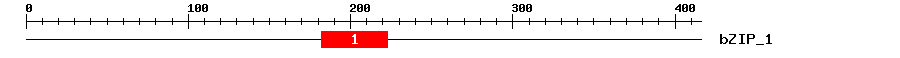 Signature Domain