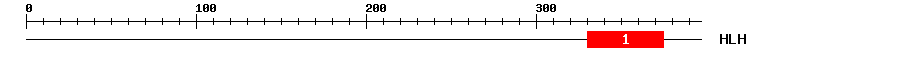 Signature Domain