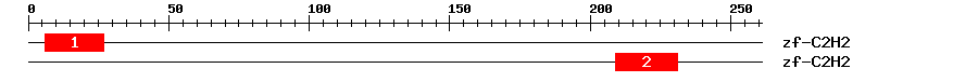 Signature Domain