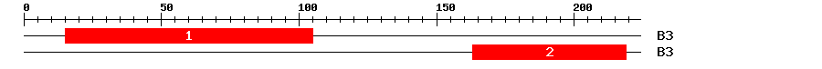 Signature Domain