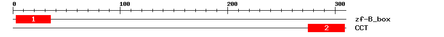 Signature Domain