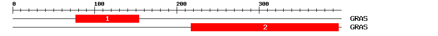 Signature Domain