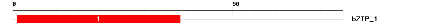 Signature Domain