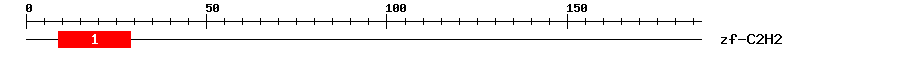 Signature Domain
