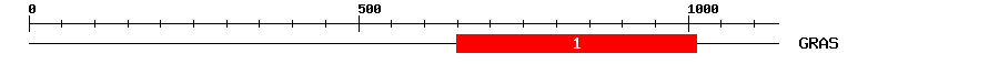 Signature Domain