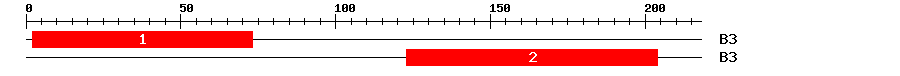 Signature Domain