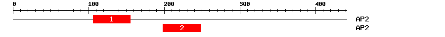 Signature Domain