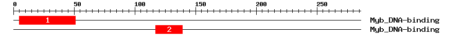 Signature Domain