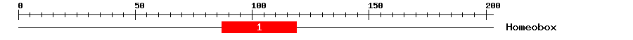 Signature Domain