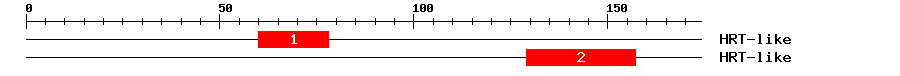 Signature Domain