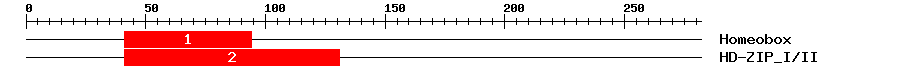 Signature Domain