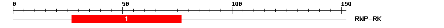 Signature Domain