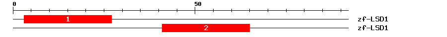 Signature Domain