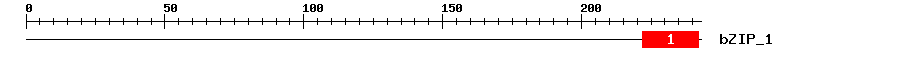 Signature Domain