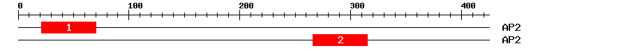 Signature Domain