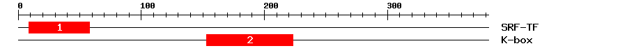 Signature Domain