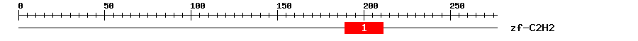 Signature Domain