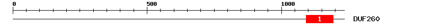 Signature Domain