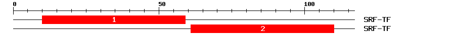 Signature Domain