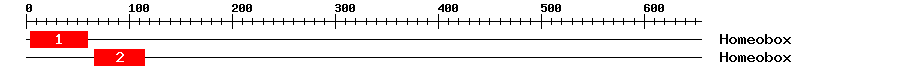 Signature Domain