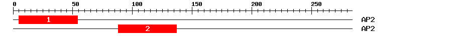Signature Domain