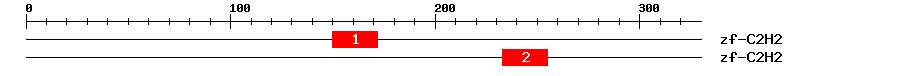 Signature Domain
