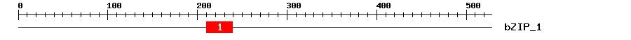 Signature Domain