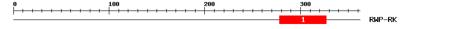 Signature Domain