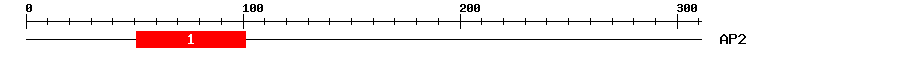Signature Domain