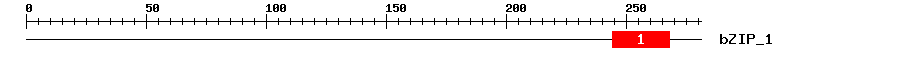Signature Domain