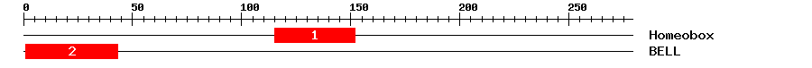 Signature Domain