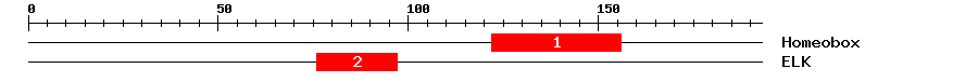Signature Domain